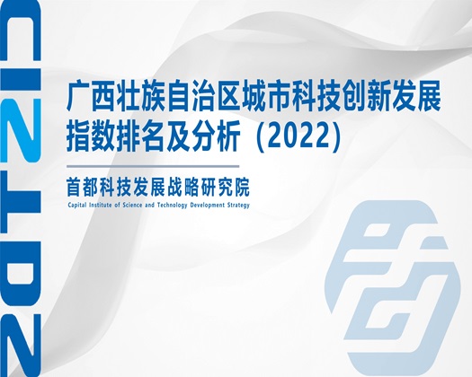 大几巴日B【成果发布】广西壮族自治区城市科技创新发展指数排名及分析（2022）